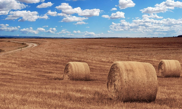 Νέο επίδομα για τους αγρότες: Ποιοι είναι δικαιούχοι