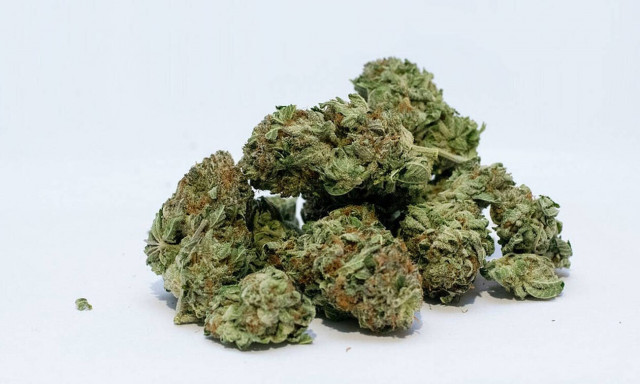 Καρδίτσα: 53χρονος έκρυβε κάνναβη σε κοτέτσι