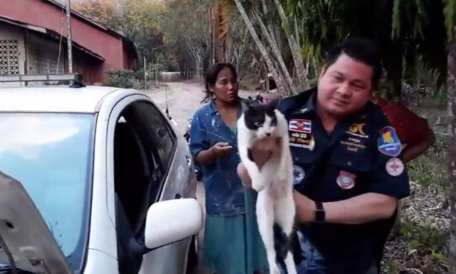 Απίστευτη διάσωση γάτας από μηχανή αυτοκινήτου (vid)