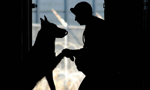 Ο σκύλος ψυχολογικής υποστήριξης που «ράγισε» καρδιές (vid)