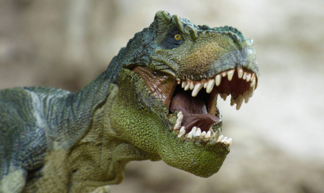 Δείτε το τερατώδες πόδι του «δεινόσαυρου» που έβαλε φωτιά στο ίντερνετ!