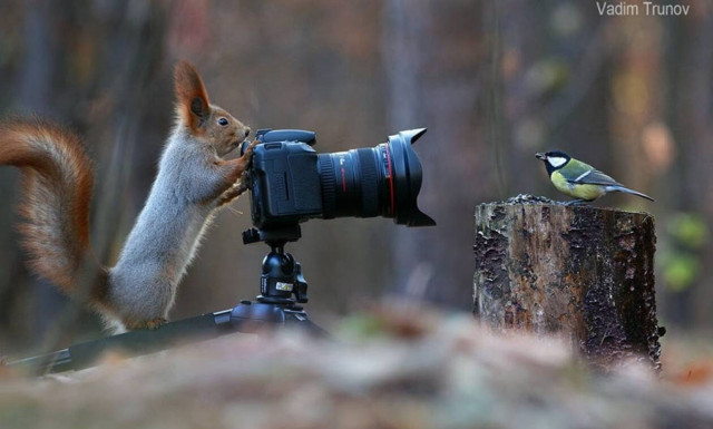 Δείτε μοναδικές εικόνες από την πιο παράξενη φωτογράφηση που έγινε ποτέ