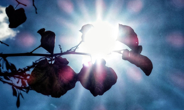 Weather forecast: Cloudy on Monday (04/02)