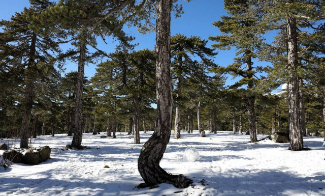 Εξωγήινοι ζουν ανάμεσα μας; «UFO συνετρίβη στην Κύπρο και προσπάθησαν να το αποκρύψουν»