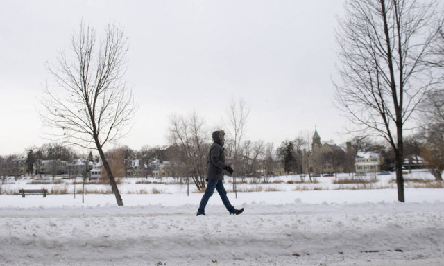 «Εφτάψυχη» γάτα! Τη βρήκαν παγωμένη στους -8 και την επανέφεραν στη ζωή (pics)