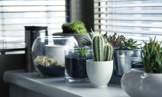 Πέντε πράγματα που πρέπει να κάνεις στο σπίτι σου για να το αναβαθμίσεις διακοσμητικά