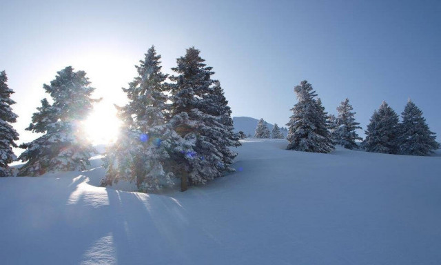 «Πλημμύρισε» με κόσμο το χιονοδρομικό κέντρο στα Καλάβρυτα (vid)