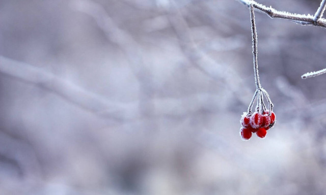 Καιρός -  Γιώργος Τσατραφύλλιας στο Newsbomb.gr: «Βουτιά» του υδραργύρου κατά 10-12 βαθμούς 