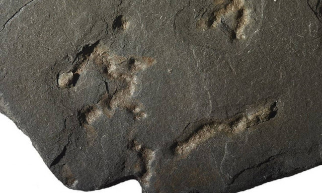 Απίστευτη ανακάλυψη ανατρέπει όλα όσα γνωρίζαμε για τη ζωή στη Γη! 