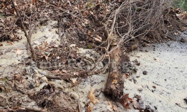 Η κακοκαιρία «χτύπησε» την Φθιώτιδα: Κατολισθήσεις στην Υπάτη (pics)