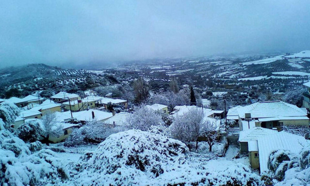 Weather forecast: Clouds and rain on Thursday (14/02/2019)