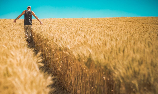 Ξεκινούν οι αιτήσεις επιχορήγησης για την Βιολογική Γεωργία - Ποιοι είναι δικαιούχοι