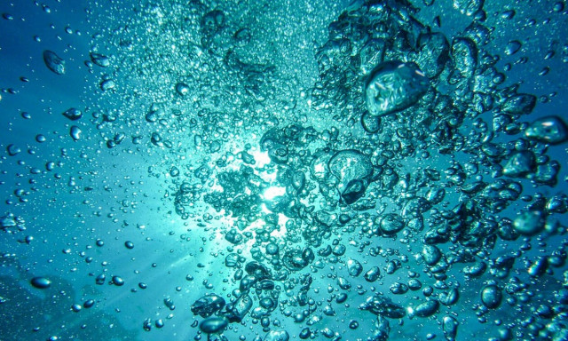 Ο «φονιάς του νερού»: Το μυστηριώδες και τρομακτικό πλάσμα που αναστάτωσε τη λίμνη (pics)