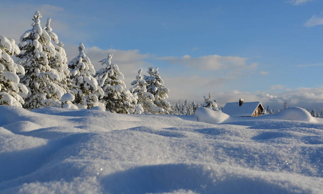 Τρόμος από το «μαύρο χιόνι»: Δείτε σε ποια περιοχή «έπεσε» (pics)