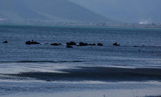 Φθιώτιδα: Νόμιζαν ότι έβλεπαν όαση, η πραγματικότητα όμως τους άφησε άφωνους (pics)