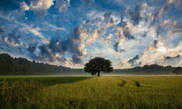 Κτηματολόγιο: Στις 25 Φεβρουαρίου ξεκινούν οι δηλώσεις για την Μεσσηνία