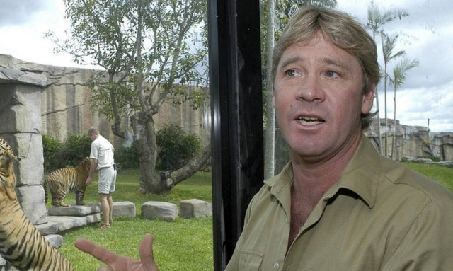 Steve Irwin: H Google τιμά με doodle τον «Κροκοδειλάκια» (pics)
