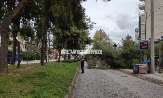 Κακοκαιρία «Ωκεανίς»: Έκλεισε κεντρική λεωφόρος στο Χαλάνδρι από πτώση δέντρου - Διακοπή ρεύματος