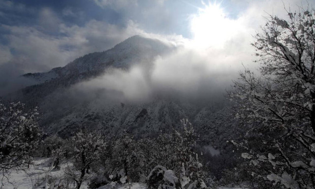 Rain, sleet and snowfall are forecast for Monday (25/02/2019)