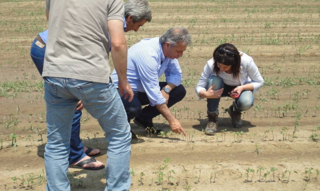 ΕΛΓΑ: Καταβολή 5,3 εκατ. ευρώ σε 779 δικαιούχους