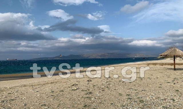 Κάρυστος: Βρήκαν σε παραλία ΑΥΤΟ το πλάσμα (pics)