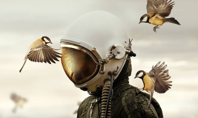 Μαγεία: Αυτές είναι οι ωραιότερες φωτογραφίες του μεγαλύτερου διαγωνισμού στον πλανήτη