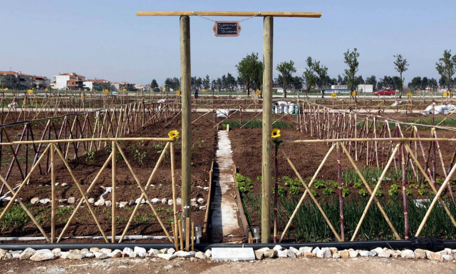 Ξεκίνησαν οι αιτήσεις για τη βιολογική καλλιέργεια - Πότε λήγει η προθεσμία υποβολής