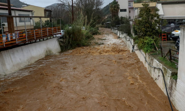 Χανιά: Απίστευτες εικόνες! Είδαν αυτά τα πλάσματα να κολυμπούν στους δρόμους! (pics)