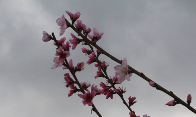 «Μάρτης»: Γιατί τον φοράμε από σήμερα - Τι συμβολίζει το «μαρτάκι»;