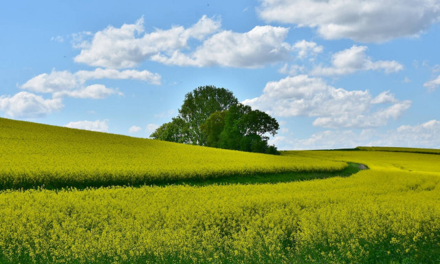 Καιρός - Η ΕΜΥ προειδοποιεί για άνοδο της θερμοκρασίας: Πόσο θα «σκαρφαλώσει» ο υδράργυρος (ΧΑΡΤΕΣ)