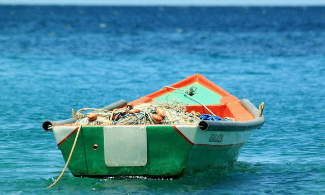 Μαγνησία: Αξιοθέατο στη Νέα Αγχίαλο έγινε η ψαριά ενός αλιευτικού - Δείτε γιατί