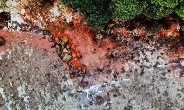 Απόκοσμες εικόνες: Η θάλασσα βάφτηκε κόκκινη (pics)