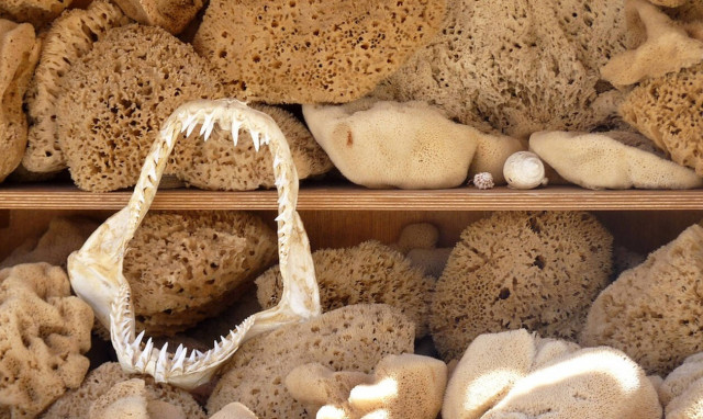 Κάλυμνος: Άγαλμα του σφουγγαρά στην Πλατεία Tarpon Spings (vid)