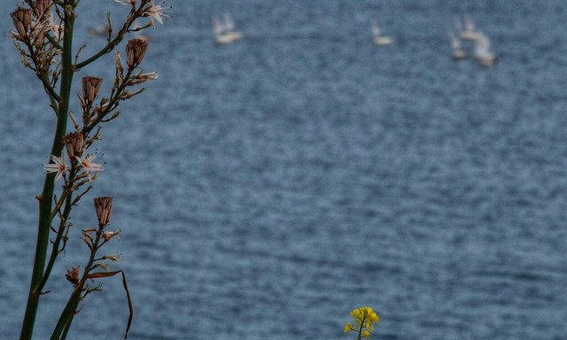 Λουτράκι: Κοίταξαν στη θάλασσα και «πάγωσαν» με αυτό που αντίκρισαν