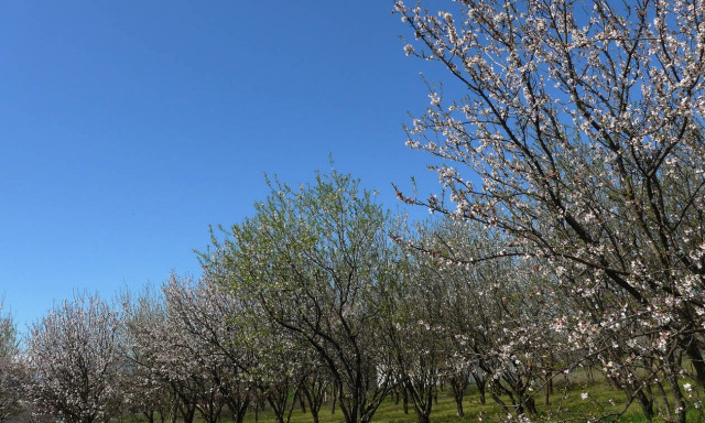 Καιρός: Ανοιξιάτικος ο καιρός μέχρι την Καθαρά Δευτέρα - Κακοκαιρία από Τρίτη (pics)