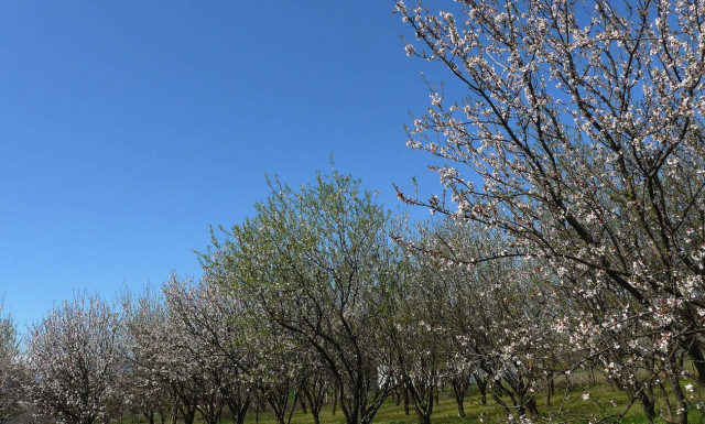 Weather forecast: Mostly fair on Thursday (07/03/2019)