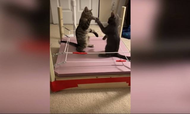 Viral: Αυτά είναι τα καλύτερα Fail βίντεο της εβδομάδας που πέρασε 