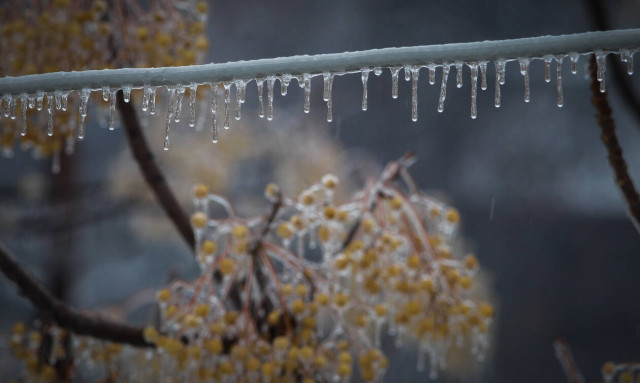 Καιρός: Πολικές θερμοκρασίες στη χώρα - Πού έπεσε το θερμόμετρο κάτω από το μηδέν