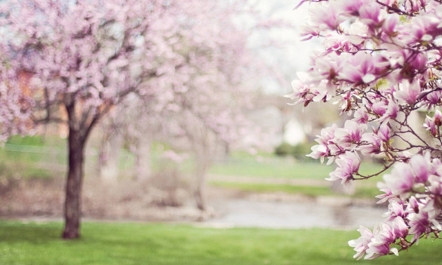 Αλλάζει ο καιρός: Έρχεται ζέστη! Πού και πότε ο υδράργυρος θα ξεπεράσει τους 24 βαθμούς (ΧΑΡΤΕΣ)