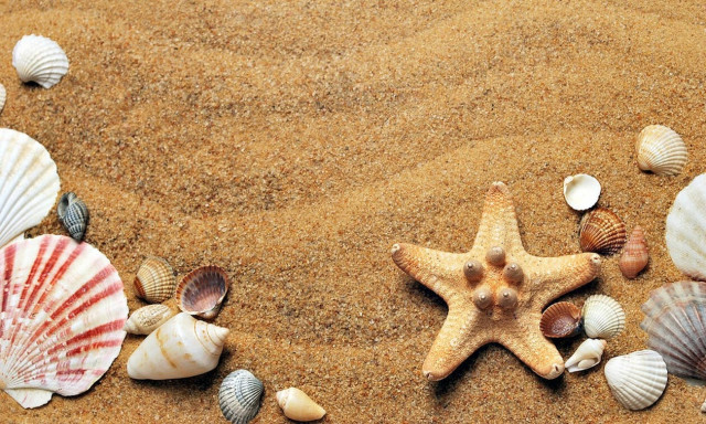 ΟΑΕΔ: Πώς θα κάνετε δωρεάν διακοπές με τα παιδιά σας - Τα κριτήρια και οι δικαιούχοι