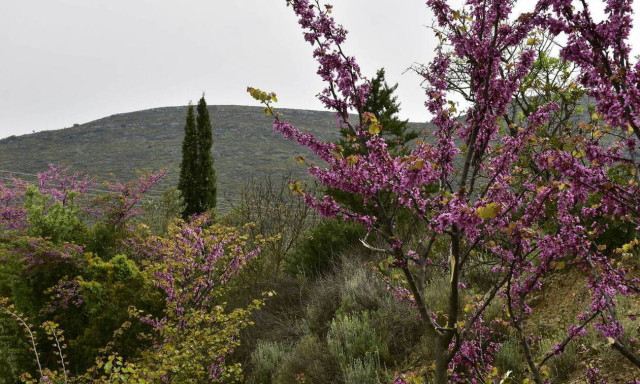 Weather forecast: Clouds, rain on Friday (15/03/2019)