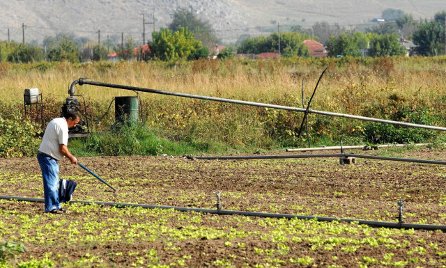 Απίστευτο περιστατικό στην Κρήτη: Γιατί κάνουν «φτερά» τα ρολόγια άρδευσης; 