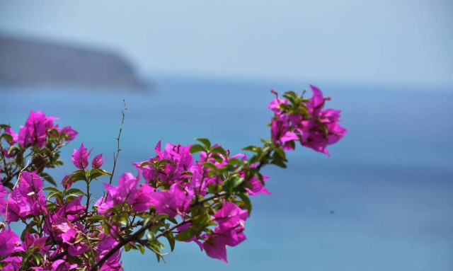 Εαρινή ισημερία - Υπερπανσέληνος 2019: Τι είναι - Όλα όσα πρέπει να ξέρετε (pics+vid)