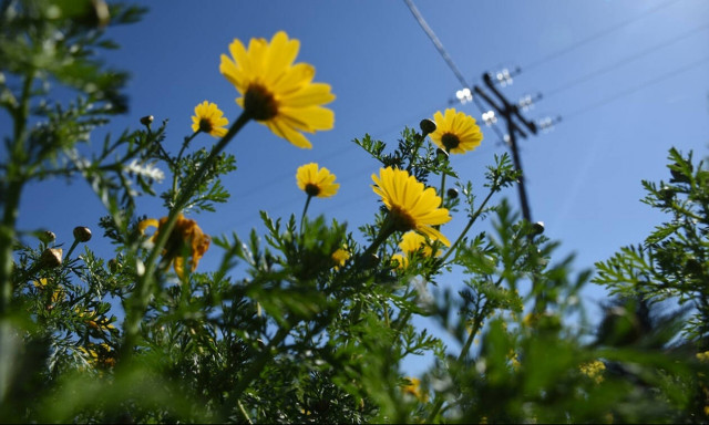 Εαρινή ισημερία: Η πρώτη μέρα της άνοιξης με ένα σπάνιο φαινόμενο - Όσα πρέπει να γνωρίζετε (vid)