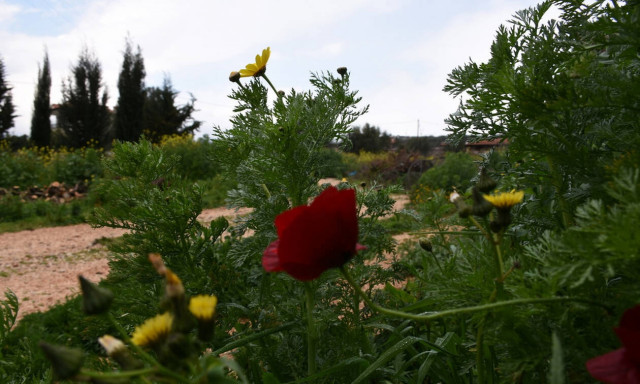 Καιρός τώρα: Τελειώνει η καλοκαιρία την πρώτη μέρα της Άνοιξης - Πού θα βρέξει τις επόμενες ώρες
