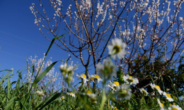 Weather forecast: Mostly fair on Friday (22/03)