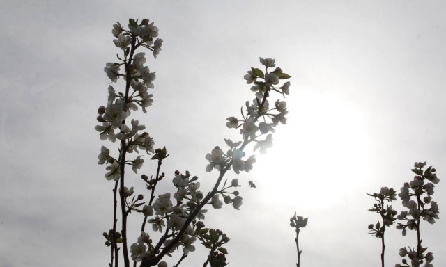 25η Μαρτίου: Με τι καιρό θα γίνουν οι παρελάσεις σε όλη η χώρα – Πού θα φτάσει η θερμοκρασία
