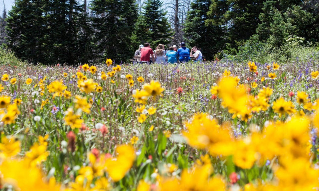 Πέντε υπέροχοι προορισμοί μια ανάσα από την Αθήνα για οικογενειακές βόλτες! (pics)