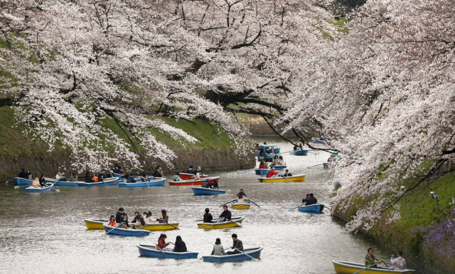 Όχι, αυτό δεν είναι πίνακας - Είναι η ανοιξιάτικη φύση στα καλύτερά της!