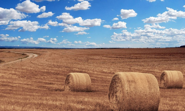 ΕΛΓΑ: Μέχρι πότε πήρε παράταση η καταβολή ειδικής ασφαλιστικής εισφοράς  